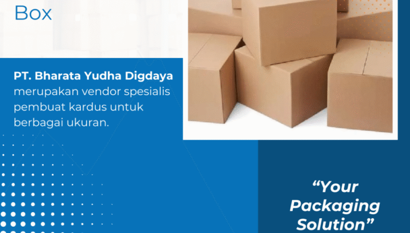 Aneka Karton Box